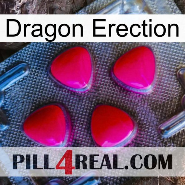 Dragon Erection 13.jpg